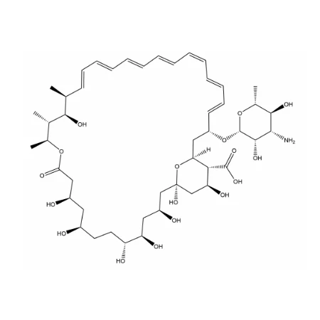 Anfotericina B Poliane Antifungal Drugs